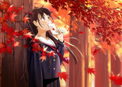Rule 34 | 1girl, autumn leaves, black serafuku, black shirt, black skirt, blurry, blurry background, blurry foreground, blush, bow, branch, brown eyes, brown hair, commentary request, depth of field, envelope, hair bow, hand up, heart, holding, holding envelope, leaf, long hair, long sleeves, looking away, looking up, maple leaf, one side up, original, outdoors, pleated skirt, red bow, red neckwear, sailor collar, school uniform, serafuku, shirt, skirt, solo, sunset, tears, tree, urata asao, very long hair, white sailor collar
