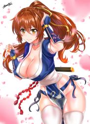 Rule 34 | 1girl, absurdres, breasts, highres, kasumi (doa), large breasts, nez-box, ponytail, solo