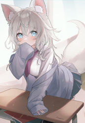 Rule 34 | 1girl, animal ear fluff, animal ears, arm support, black skirt, blouse, blue eyes, blush, breasts, cardigan, classroom, covering own mouth, desk, fox ears, fox girl, fox tail, grey cardigan, grey hair, hand to own mouth, highres, leaning forward, long hair, looking at viewer, necktie, off shoulder, original, saiki komari, shirt, skirt, sleeves past wrists, solo, tail, white shirt, window