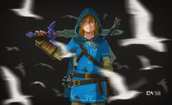 Rule 34 | bird, blue eyes, blue tunic, bow (weapon), castlings, fingerless gloves, gauntlets, gloves, hair between eyes, highres, holding, holding sword, holding weapon, hood, hood up, light brown hair, link, looking at viewer, master sword, nintendo, scratches, shield, shield on back, sword, the legend of zelda, the legend of zelda: breath of the wild, weapon, white bird