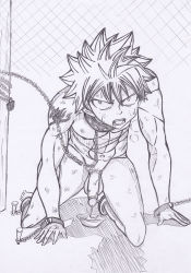 Rule 34 | 1boy, abs, amamamacyan, collar, erection, fairy tail, highres, leash, male focus, natsu dragneel, penis, solo
