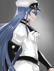 Rule 34 | 10s, 1girl, akame ga kill!, blue eyes, blue hair, breasts, choker, esdeath, fitz (fita is the smartest), grin, hat, large breasts, long hair, matching hair/eyes, military, military uniform, peaked cap, profile, smile, solo, uniform, very long hair