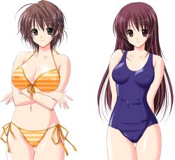 Rule 34 | 00s, 2girls, ass, atelier kaguya, bare legs, bare shoulders, bikini, blue one-piece swimsuit, breasts, brown hair, choco chip, cleavage, closed mouth, collarbone, competition swimsuit, covered erect nipples, covered navel, crossed arms, eyelashes, feet out of frame, female focus, game cg, gluteal fold, grabbing, groin, hair between eyes, highres, katei kyoushi no oneesan, kateikyoushi no onee-san, large breasts, legs together, long hair, looking at viewer, medium breasts, multiple girls, navel, one-piece swimsuit, onodera rio, orange bikini, red eyes, red hair, ribbon, school swimsuit, shade, shiny skin, shiono nagisa, short hair, side-tie bikini bottom, simple background, sleeveless, smile, standing, stomach, string, string bikini, striped bikini, striped clothes, swimsuit, tachi-e, thigh gap, thighs, transparent background, upper body, very long hair, yellow eyes