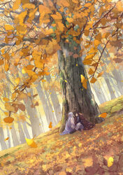 Rule 34 | 2boys, against tree, androgynous, autumn, autumn leaves, black hair, braid, brown cloak, chinese clothes, cloak, commentary request, crossed legs, forest, full body, grey hair, hand on another&#039;s face, leaf, long hair, looking at another, male focus, multiple boys, nature, on grass, original, ponytail, scenery, sitting, sleeping, toruglose, tree, very long hair, yaoi, yellow theme