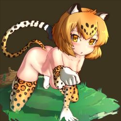 Rule 34 | 10s, 1girl, :o, all fours, animal ears, bad id, bad nicoseiga id, blonde hair, blush, breasts, elbow gloves, gloves, hanging breasts, iwahana, jaguar (kemono friends), jaguar ears, jaguar print, jaguar tail, kemono friends, looking at viewer, medium breasts, multicolored hair, nude, open mouth, paw pose, pet play, revision, short hair, solo, tail, thighhighs