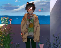 Rule 34 | 1girl, animal ears, black hair, black pantyhose, blue flower, blue skirt, blue sky, cat ears, closed mouth, cloud, coat, cowboy shot, flower, grey shirt, highres, holding, holding flower, horizon, light smile, long sleeves, looking at viewer, maple (abc2215), ocean, open clothes, open coat, original, outdoors, pantyhose, plant, pleated skirt, potted plant, purple flower, red eyes, red flower, shirt, short hair, skirt, sky, sleeves past wrists, solo, symbol-only commentary, vase, vines, yellow coat, yellow flower