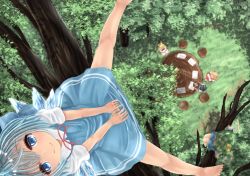 Rule 34 | 5girls, bad id, bad pixiv id, barefoot, between legs, black hair, blonde hair, blue dress, blue eyes, blue hair, bow, chair, cirno, daiyousei, dress, from above, grass, green hair, hair between eyes, hair bow, hand between legs, headdress, in tree, looking at viewer, looking up, luna child, mukaino kei, multiple girls, outstretched leg, puffy short sleeves, puffy sleeves, red dress, red ribbon, ribbon, short hair, short sleeves, side ponytail, sitting, smile, solo focus, spread legs, star sapphire, sunny milk, table, touhou, tree, white dress, wings