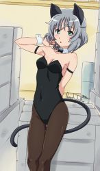 Rule 34 | 1girl, animal ears, armpits, black bow, black bowtie, black leotard, bow, bowtie, box, breasts, cat ears, cat tail, commentary, covered navel, english commentary, feet out of frame, green eyes, grey hair, highres, kittysuit, leotard, looking at viewer, medium breasts, nanaeljustice, nontraditional playboy bunny, sanya v. litvyak, short hair, solo, standing, strapless, strapless leotard, strike witches: aurora no majo, strike witches: suomus misfits squadron, tail, world witches series