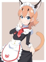 Rule 34 | :3, alternate costume, animal ear fluff, animal ears, apron, black dress, black hair, blue eyes, bow, bowtie, caracal (kemono friends), clothes lift, commentary request, cowboy shot, dress, dress lift, enmaided, extra ears, hand on own face, ilyfon133, kemono friends, kemono friends 3, long hair, long sleeves, maid, maid apron, maid headdress, multicolored hair, orange hair, red bow, red bowtie, sidelocks, sleeve cuffs, solo, tail
