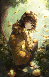 Rule 34 | 1girl, absurdres, ahoge, bird, black pantyhose, blush, brown hair, chick, closed mouth, dappled sunlight, forest, highres, hood, hood down, hoodie, huge filesize, looking at viewer, looking back, mirage (rairudiseu), nature, outdoors, pantyhose, plant, scenery, short hair, sitting, solo, sunlight, tree, yellow eyes, yellow hoodie, zutto mayonaka de ii no ni