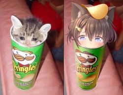 Rule 34 | 1girl, :3, animal ears, blue eyes, brown hair, cat, cat ears, chips (food), commentary, denchisoft, fish hair ornament, food, food on head, hair ornament, highres, meme, object on head, original, personification, photo-referenced, photo inset, potato chips, pringles, real life insert, sad, short hair, stuck, tears