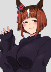 Rule 34 | 1girl, alternate costume, animal ears, black sweater, breasts, brown hair, closed mouth, commentary request, covered erect nipples, ear ornament, grey background, hair between eyes, hakase yurisuki, highres, horse ears, horse girl, large breasts, long sleeves, looking at viewer, multicolored hair, red eyes, simple background, sleeves past wrists, smile, solo, streaked hair, sweater, transcend (umamusume), umamusume, upper body, white hair