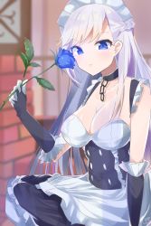 Rule 34 | 1girl, apron, azur lane, bad id, bad pixiv id, belfast (azur lane), blurry, braid, breasts, chain, cleavage, collar, collarbone, corset, depth of field, flower, french braid, frilled apron, frilled gloves, frills, gloves, highres, holding, holding flower, large breasts, maid, maid apron, maid headdress, rose, silver hair, smelling flower, solo, white apron, white gloves, xretakex