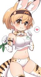 Rule 34 | 1girl, animal ear fluff, animal ears, bare shoulders, blonde hair, blouse, blush, bow, bowtie, breasts, brown eyes, buruma, commentary, crop top, elbow gloves, extra ears, gloves, grin, hair between eyes, hairband, heart, highres, japan racing association, kemono friends, looking at viewer, medium breasts, midriff, navel, o-ring, print bow, print bowtie, print buruma, print gloves, print neckwear, print thighhighs, ransusan, serval (kemono friends), serval print, shirt, short hair, simple background, sleeveless, sleeveless shirt, smile, solo, spoken heart, thighhighs, traditional bowtie, white background, wristband