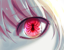Rule 34 | 1boy, alternate eye color, bhh4321, blonde hair, bug, close-up, eye focus, eye reflection, eyelashes, glowing, glowing eyes, hunter x hunter, kurapika, light particles, looking at viewer, male focus, red eyes, reflection, silver hair, solo, spider, symbol-shaped pupils