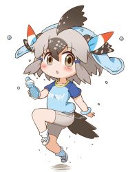 Rule 34 | 1girl, bare arms, bare legs, bird tail, bird wings, bottle, chibi, collarbone, commentary request, exercising, eyes visible through hair, full body, gerotan, greater roadrunner (kemono friends), grey eyes, grey hair, hair between eyes, hair tubes, head wings, highres, holding, holding bottle, kemono friends, kemono friends 2, looking at viewer, medium hair, multicolored hair, open mouth, running, shirt, shoes, short sleeves, shorts, simple background, socks, solo, t-shirt, tail, towel, towel on head, water bottle, white background, wings