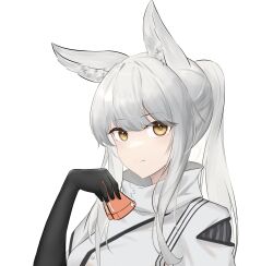 Rule 34 | 1girl, absurdres, animal ears, arknights, black gloves, breasts, commentary, gloves, hand up, highres, holding, horse ears, jacket, long hair, looking at viewer, medium breasts, platinum (arknights), ponytail, sarea (sarea2020), sidelocks, simple background, smile, solo, upper body, white background, white hair, white jacket, yellow eyes