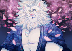 Rule 34 | 1boy, animal ears, bara, blue kimono, blush, cherry blossoms, chest tuft, daisukebear, falling petals, furry, furry male, green eyes, japanese clothes, kimono, large pectorals, lion boy, lion ears, male focus, mane, mature male, monocle, muscular, muscular male, nipple slip, nipples, open clothes, open kimono, pectoral cleavage, pectorals, petals, smile, snow (housamo), solo, straight-on, thick eyebrows, tokyo houkago summoners, upper body, whiskers, white fur, white hair