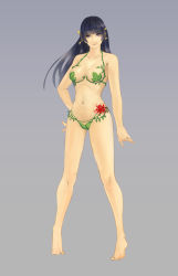 Rule 34 | 1girl, alternate costume, dead or alive, full body, looking at viewer, nyotengu, official art, solo