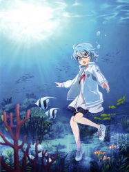 Rule 34 | 1girl, absurdres, air bubble, aoi (houkago no pleiades), bike shorts, blue eyes, blue hair, coral, dress, fish, glasses, highres, houkago no pleiades, jacket, matching hair/eyes, official art, open jacket, sailor dress, short hair, solo, sunlight, track jacket, underwater