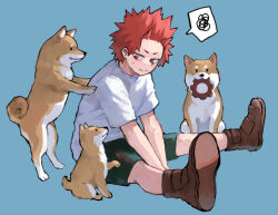 Rule 34 | 1boy, animal, blue background, boku no hero academia, boots, brown footwear, closed mouth, commentary, dog, full body, kirishima eijirou, male focus, mouth hold, red eyes, red hair, shiba inu, shirt, short hair, short sleeves, shorts, simple background, sitting, smile, spiked hair, spoken squiggle, squiggle, symbol-only commentary, white shirt, zonozonotk