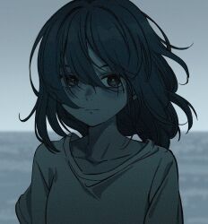 Rule 34 | 1girl, chou (danny8461), collarbone, expressionless, hair between eyes, highres, horizon, looking at viewer, medium hair, monochrome, original, outdoors, overcast, shirt, sky, solo, t-shirt, water, wind