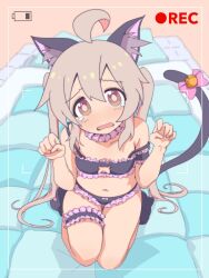 Rule 34 | 1girl, ahoge, animal ear fluff, animal ears, bare arms, bare legs, bare shoulders, battery indicator, bell, black bra, black panties, bow, bow panties, bra, breasts, bridal garter, brown eyes, cat cutout, cat ears, cat lingerie, cat tail, choker, cleavage cutout, clothing cutout, commentary, frilled bra, frilled choker, frilled garter, frilled panties, frills, full body, futon, grey hair, hair between eyes, highres, jingle bell, lingerie, long hair, looking at viewer, meme attire, navel, onii-chan wa oshimai!, open mouth, oyama mahiro, panties, paw pose, paw shoes, pink bow, sitting, small breasts, solo, strap slip, tail, tail bell, tail bow, tail ornament, tearing up, twintails, underwear, underwear only, unkimo, viewfinder, wavy mouth