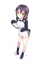 Rule 34 | 10s, 1girl, black hair, blush, chitetan, full body, headphones, humboldt penguin (kemono friends), jacket, kemono friends, looking at viewer, multicolored hair, open mouth, purple hair, short hair, smile, solo, two-tone hair, yellow eyes