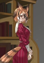 Rule 34 | 1girl, absurdres, bespectacled, bird tail, black hair, book, bookshelf, brown eyes, brown hair, commentary, eurasian eagle owl (kemono friends), from side, glasses, hair between eyes, head wings, highres, indoors, kemono friends, light particles, long sleeves, looking at viewer, looking to the side, multicolored hair, parted lips, round eyewear, short hair, solo, tail, tanabe (fueisei), white hair, wings