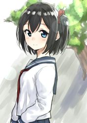 Rule 34 | 1girl, black hair, blue eyes, blue sailor collar, blue skirt, closed mouth, day, from side, hair ribbon, highres, long sleeves, looking at viewer, looking to the side, neckerchief, one side up, original, outdoors, pleated skirt, red neckerchief, red ribbon, ribbon, sailor collar, school uniform, serafuku, shirt, skirt, smile, solo, suzunari shizuku, tree, white shirt, yuki arare