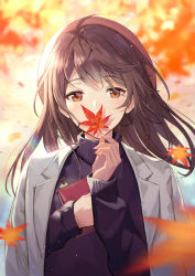Rule 34 | ahoge, autumn, autumn leaves, backlighting, black sweater, blush, book, brown eyes, brown hair, commentary, day, falling leaves, grey jacket, haru (hiyori-kohal), holding, holding book, holding leaf, jacket, jacket on shoulders, leaf, long hair, long sleeves, looking at viewer, maple leaf, original, outdoors, resolution mismatch, solo, source larger, sunlight, sweater, symbol-only commentary, upper body