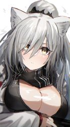 Rule 34 | 1girl, absurdres, animal ears, arknights, black scarf, breasts, cat ears, cleavage, commentary, highres, horn/wood, large breasts, long hair, long sleeves, looking at viewer, scarf, schwarz (arknights), silver hair, simple background, solo, upper body, white background, yellow eyes
