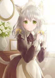 Rule 34 | 1girl, absurdres, animal ears, apron, arms up, black ribbon, braid, cat ears, cat girl, cat tail, cowboy shot, flower, green eyes, hair between eyes, hair ribbon, highres, holding, holding ribbon, hoshiibara mato, indoors, juliet sleeves, light particles, light rays, long sleeves, looking at viewer, maid, maid apron, maid headdress, medium hair, mirror, neck ribbon, original, picture frame, puffy sleeves, ribbon, rose, silver hair, smile, solo, standing, sunbeam, sunlight, tail, twin braids, vase, white flower, white rose, window