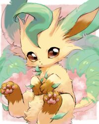 Rule 34 | animal focus, blurry, brown eyes, commentary request, creatures (company), depth of field, game freak, gen 4 pokemon, highres, leafeon, looking at viewer, nekogusa, nintendo, no humans, pink background, pokemon, pokemon (creature), solo, yellow fur