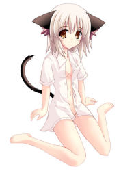 Rule 34 | animal ears, barefoot, brown eyes, cat ears, cat tail, character request, duplicate, kneeling, open clothes, open shirt, shirt, short hair, solo, source request, tail, white hair, yamamoto nori, yellow eyes