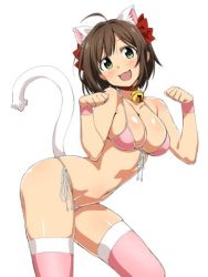 Rule 34 | 10s, 1girl, ahoge, animal ears, arched back, bare shoulders, bell, bikini, breasts, brown hair, cat ears, cat tail, cleavage, collar, fang, green eyes, hair ribbon, hands up, idolmaster, idolmaster cinderella girls, large breasts, loliconder, lowres, maekawa miku, neck bell, open mouth, paw pose, pink bikini, pink thighhighs, red ribbon, ribbon, short hair, side-tie bikini bottom, simple background, smile, solo, swept bangs, swimsuit, tail, thighhighs, thighs, white background