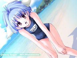 Rule 34 | 00s, 1girl, animal ears, beach, blue hair, character name, cloud, copyright name, dutch angle, galaxy angel, green eyes, hands on own knees, looking at viewer, mint blancmanche, name tag, ocean, open mouth, outdoors, school swimsuit, short hair, sky, smile, solo, swimsuit, translated, wet, yellow eyes