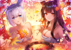 Rule 34 | 2girls, absurdres, akagi (azur lane), animal ears, apple caramel, autumn, autumn leaves, azur lane, bare shoulders, bathing, bird, blue eyes, blurry, blurry foreground, breasts, brown hair, bubble, bug, butterfly, cleavage, collarbone, depth of field, fox ears, highres, holding, bug, kaga (azur lane), large breasts, leaf, long hair, looking at viewer, maple leaf, multiple girls, naked towel, onsen, parted lips, red eyes, revision, short hair, smile, steam, towel, water, white hair