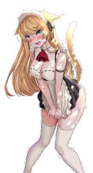 Rule 34 | 1girl, animal ears, apron, apron pull, bare shoulders, blonde hair, blue eyes, blush, breasts, cat ears, cat girl, cat tail, cleavage, clothes pull, collar, commission, detached collar, drawing, dress, embarrassed, frilled dress, frills, highres, long hair, looking at viewer, maid, maid apron, maid headdress, medium breasts, nico-mo, open mouth, original, simple background, sleeveless, sweat, tail, thighhighs, thighs, trembling, white background