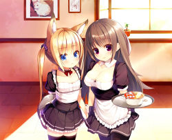 Rule 34 | 2girls, animal ears, apron, blonde hair, blue eyes, blush, breasts, brown hair, choker, cleavage, flat chest, food, fox ears, holding hands, large breasts, long hair, maid, maid apron, multiple girls, nekomu, noodles, original, pantyhose, plant, purple eyes, ramen, ribbon, smile, thighhighs, tray, twintails, very long hair, window
