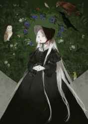 Rule 34 | 1girl, bird, black dress, black headwear, blue flower, blunt bangs, bonnet, closed mouth, commentary request, dress, feet out of frame, flower, goth fashion, green background, leaf, long hair, long sleeves, nekosuke (oxo), original, own hands together, pale skin, plant, solo, standing, straight hair, very long hair, white hair