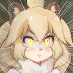 Rule 34 | 1girl, animal ear fluff, animal ears, blonde hair, blush, commentary request, emphasis lines, fur collar, hair between eyes, kemono friends, lion (kemono friends), lion ears, long hair, looking at viewer, portrait, solo, t jiroo (ringofriend), yellow eyes