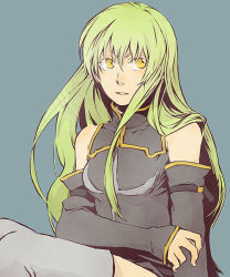 Rule 34 | 00s, 1girl, bad id, bad pixiv id, c.c., code geass, female focus, green hair, simple background, solo, tame, yellow eyes