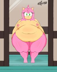 Rule 34 | absurdres, amy rose, breasts, excito, fat, feet, female focus, furry, furry female, highres, medium breasts, mirror, nude, obese, pov, sagging breasts, sonic (series)