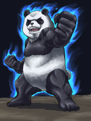 Rule 34 | animal, animal focus, aura, black background, clenched hands, commentary, english commentary, full body, highres, looking at viewer, m.m, no humans, open mouth, original, panda, sharp teeth, standing, teeth