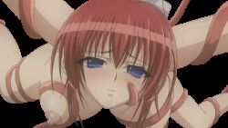 Rule 34 | 1girl, animated, animated gif, bdsm, blue eyes, blush, bondage, bound, breast sucking, breasts, in&#039;youchuu, in&#039;youchuu shoku, large breasts, nipples, open mouth, red hair, restrained, shiratori mikoto, spread legs, suspension, tagme, tentacle sex, tentacles, transparent background