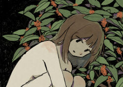 Rule 34 | 1girl, absurdres, black background, black eyes, breasts, brown hair, commentary request, completely nude, flower, gold osmanthus, highres, knees to chest, leaf, mamei mema, medium hair, nude, orange flower, original, parted lips, plant, small breasts, solo, upper body