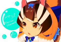 Rule 34 | 1girl, animal ears, blue ribbon, brown eyes, brown hair, chipmunk ears, chipmunk girl, chipmunk tail, extra ears, grey hair, highres, kemono friends, kemono friends v project, microphone, multicolored hair, ribbon, scarf, short hair, siberian chipmunk (kemono friends), simple background, solo, tail, tsuna ito27110, two-tone hair, upper body, virtual youtuber