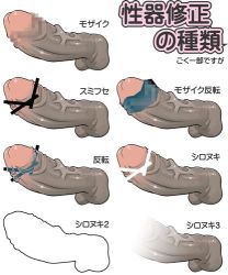 Rule 34 | bar censor, censored, erection, how to, lowres, mosaic censoring, partially translated, penis, sashizume soutarou, silhouette, translation request, veins, veiny penis