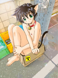 Rule 34 | 1girl, animal ears, barefoot, black hair, box, breasts, cameltoe, cat ears, cat tail, cleft of venus, collar, completely nude, duplicate, expressionless, highres, in box, in container, looking at viewer, nude, original, outdoors, pixel-perfect duplicate, pussy, short hair, small breasts, solo, tail, unno hotaru